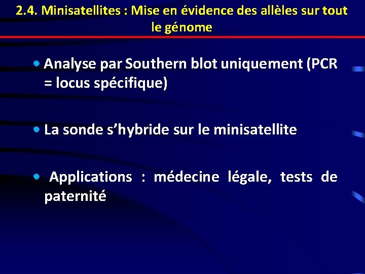 2. 4. Minisatellites : Mise en évidence des allèles sur tout le génome •