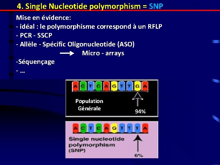 4. Single Nucleotide polymorphism = SNP Mise en évidence: - idéal : le polymorphisme