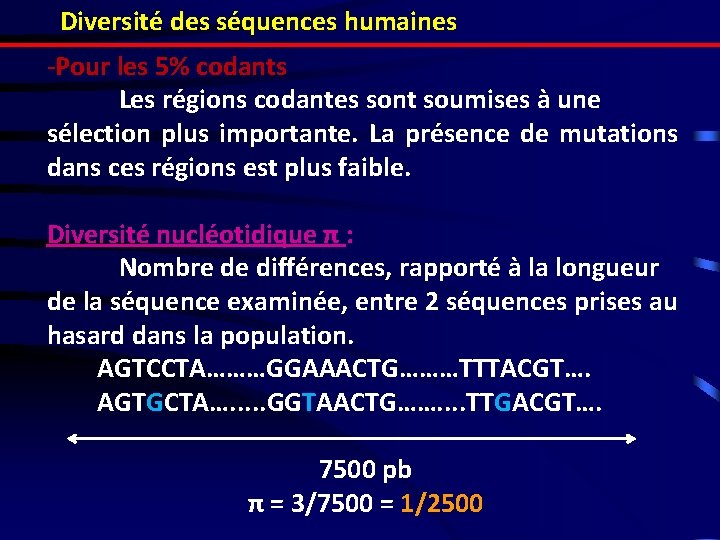 Diversité des séquences humaines -Pour les 5% codants Les régions codantes sont soumises à