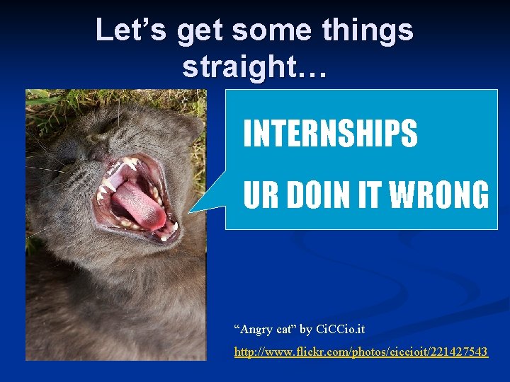 Let’s get some things straight… INTERNSHIPS UR DOIN IT WRONG “Angry cat” by Ci.