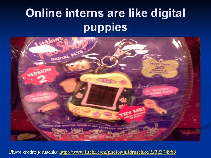 Online interns are like digital puppies Photo credit: jdruschke http: //www. flickr. com/photos/jilldruschke/2232374988 