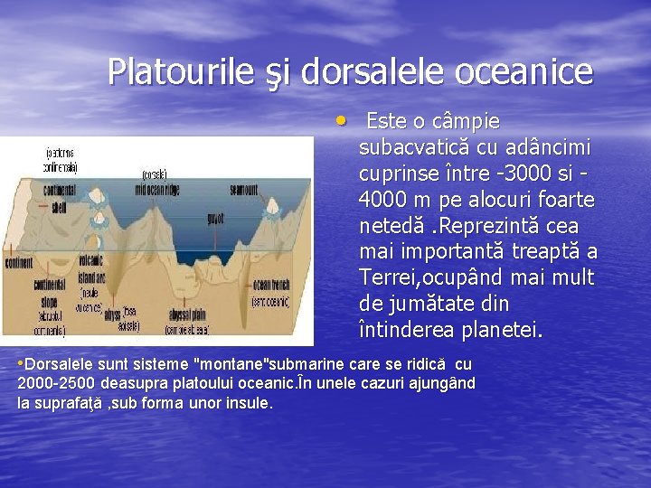 Platourile şi dorsalele oceanice • Este o câmpie subacvatică cu adâncimi cuprinse între -3000