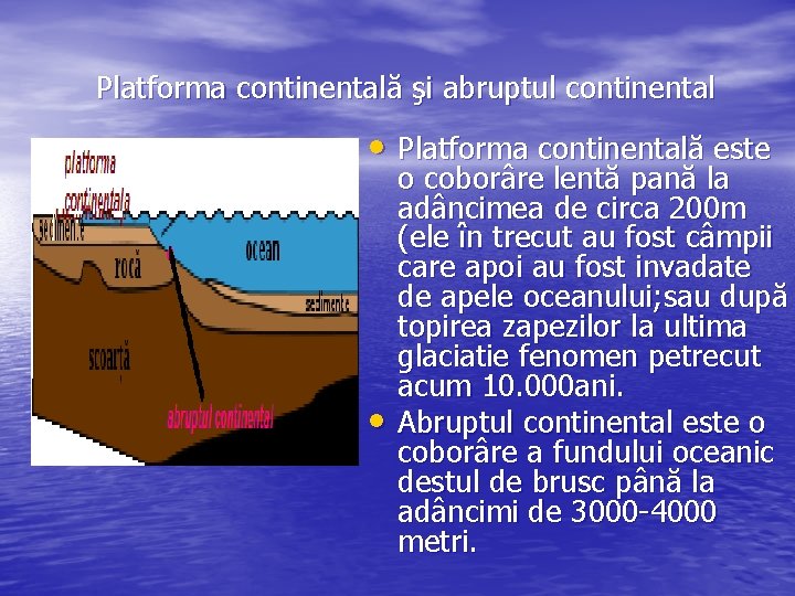 Platforma continentală şi abruptul continental • Platforma continentală este • o coborâre lentă pană