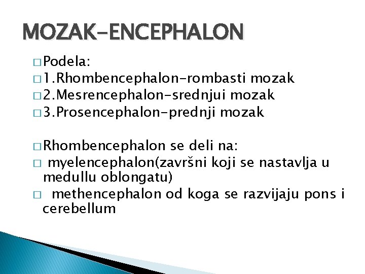 MOZAK-ENCEPHALON � Podela: � 1. Rhombencephalon-rombasti mozak � 2. Mesrencephalon-srednjui mozak � 3. Prosencephalon-prednji