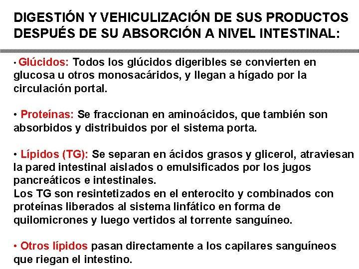 DIGESTIÓN Y VEHICULIZACIÓN DE SUS PRODUCTOS DESPUÉS DE SU ABSORCIÓN A NIVEL INTESTINAL: •