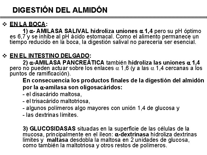 DIGESTIÓN DEL ALMIDÓN v EN LA BOCA: 1) - AMILASA SALIVAL hidroliza uniones 1,