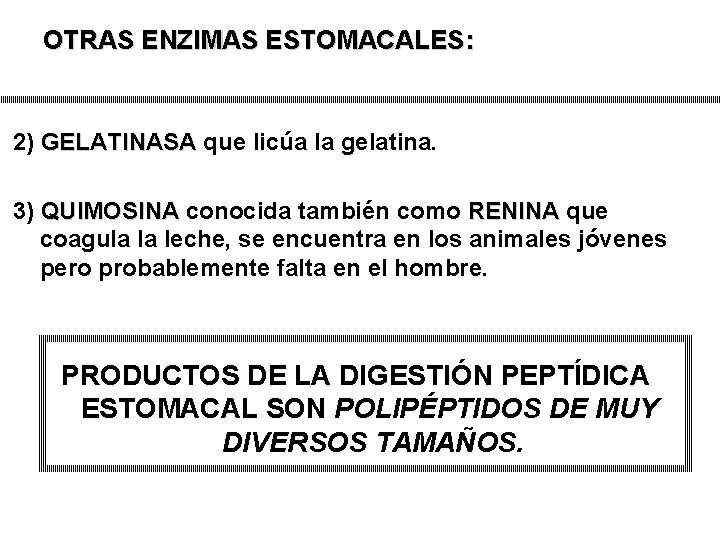 OTRAS ENZIMAS ESTOMACALES: 2) GELATINASA que licúa la gelatina. GELATINASA 3) QUIMOSINA conocida también