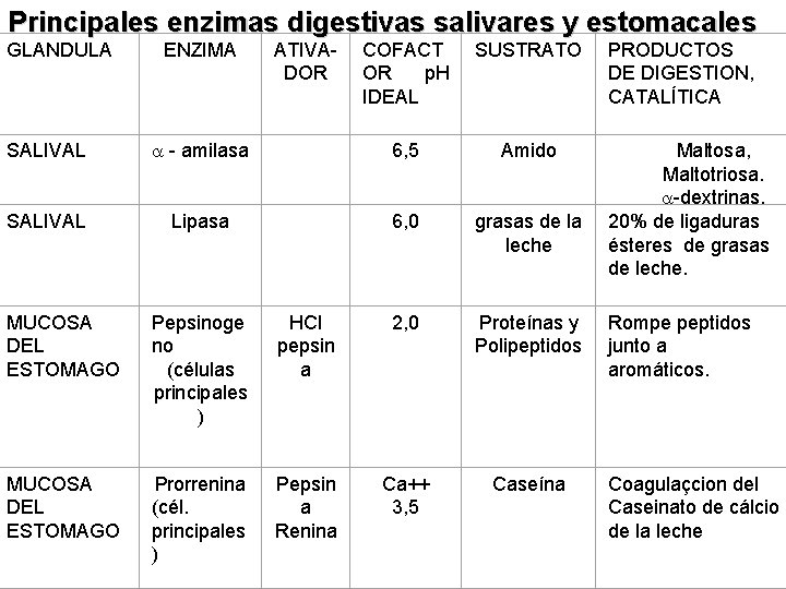 Principales enzimas digestivas salivares y estomacales GLANDULA ENZIMA ATIVADOR COFACT OR p. H IDEAL