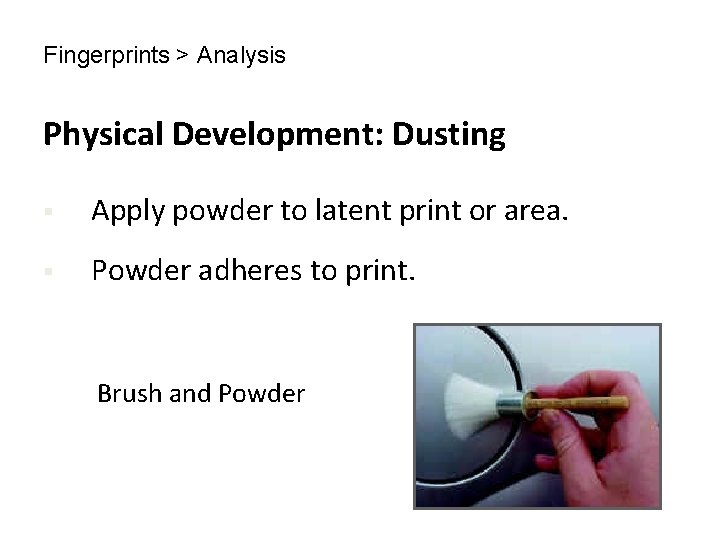 Fingerprints > Analysis Physical Development: Dusting § Apply powder to latent print or area.