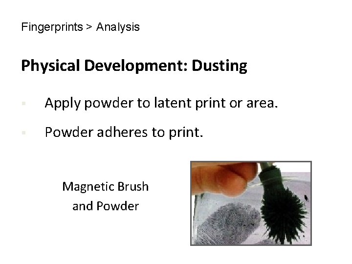 Fingerprints > Analysis Physical Development: Dusting § Apply powder to latent print or area.