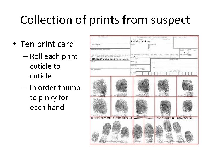 Collection of prints from suspect • Ten print card – Roll each print cuticle