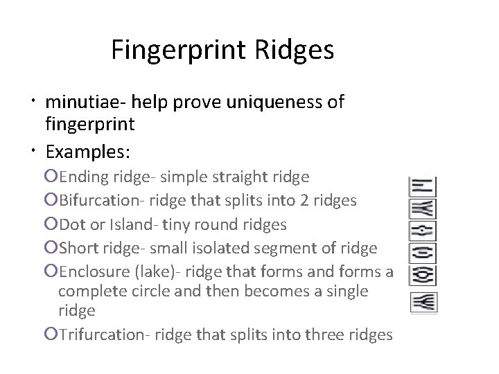 Fingerprint Ridges minutiae- help prove uniqueness of fingerprint Examples: Ending ridge- simple straight ridge