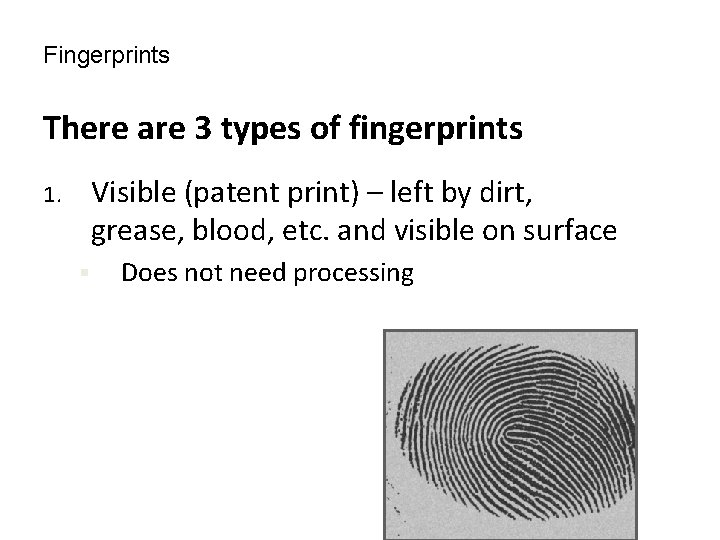 Fingerprints There are 3 types of fingerprints Visible (patent print) – left by dirt,