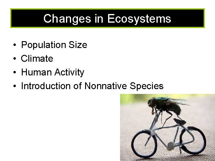 Changes in Ecosystems • • Population Size Climate Human Activity Introduction of Nonnative Species