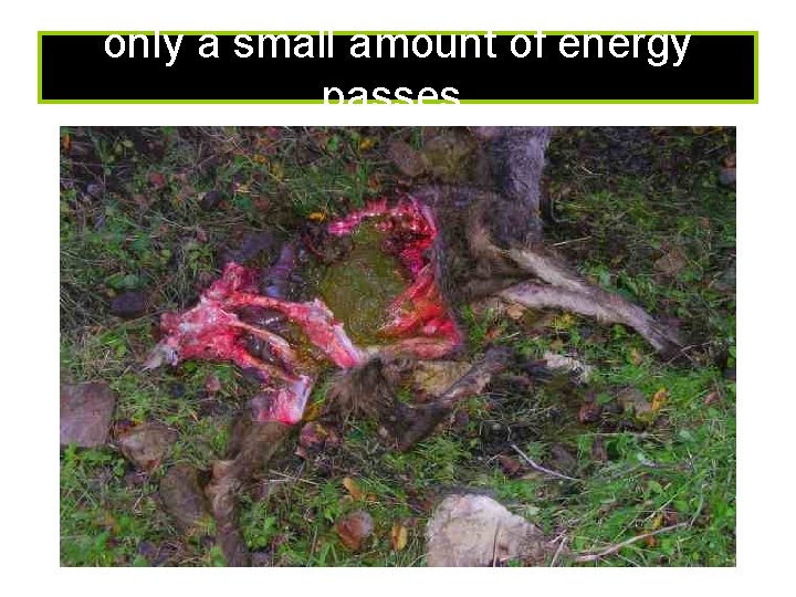 only a small amount of energy passes. 