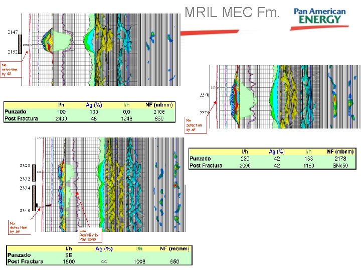 MRIL MEC Fm. 