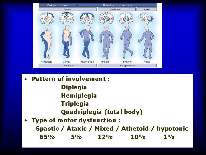  • Pattern of involvement : Diplegia Hemiplegia Triplegia Quadriplegia (total body) • Type