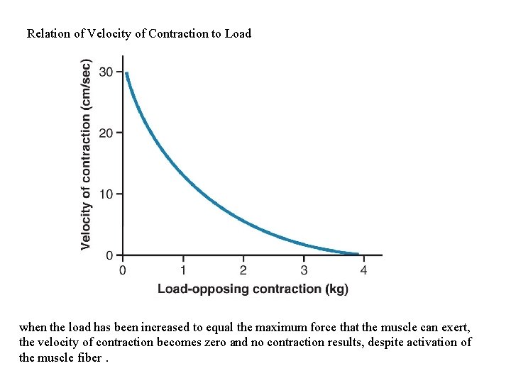 Relation of Velocity of Contraction to Load when the load has been increased to