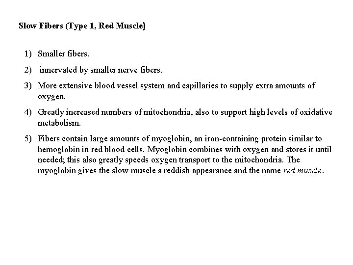 Slow Fibers (Type 1, Red Muscle) 1) Smaller fibers. 2) innervated by smaller nerve