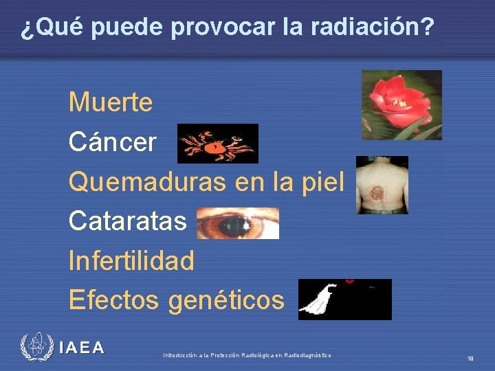 ¿Qué puede provocar la radiación? Muerte Cáncer Quemaduras en la piel Cataratas Infertilidad Efectos