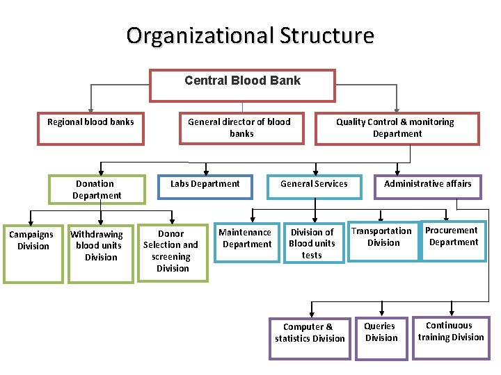 Organizational Structure Central Blood Bank Regional blood banks Donation Department Campaigns Division Withdrawing blood