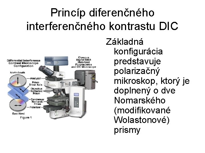 Princíp diferenčného interferenčného kontrastu DIC Základná konfigurácia predstavuje polarizačný mikroskop, ktorý je doplnený o