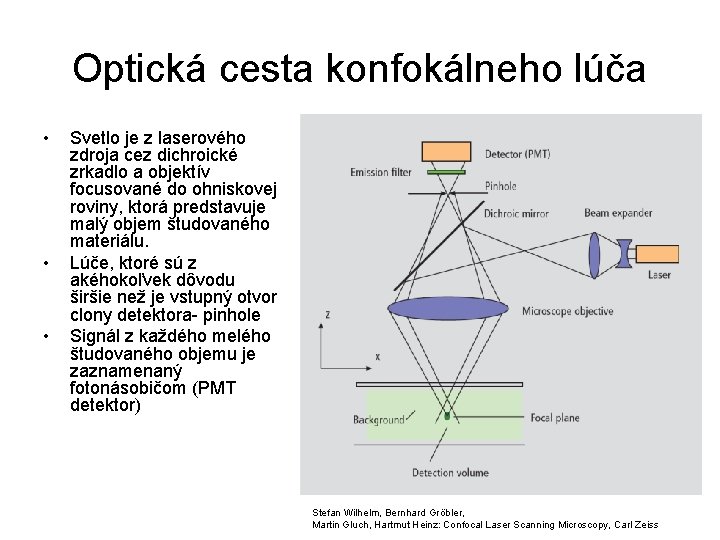 Optická cesta konfokálneho lúča • • • Svetlo je z laserového zdroja cez dichroické