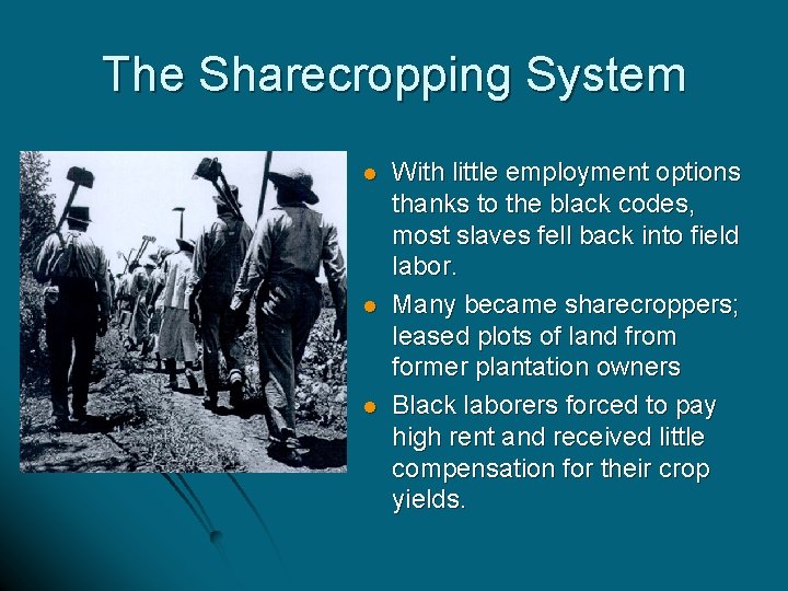 The Sharecropping System l l l With little employment options thanks to the black