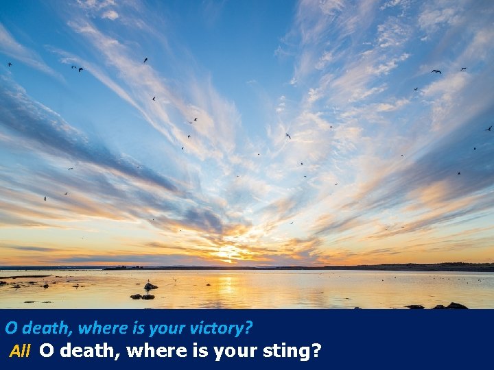 O death, where is your victory? All O death, where is your sting? 