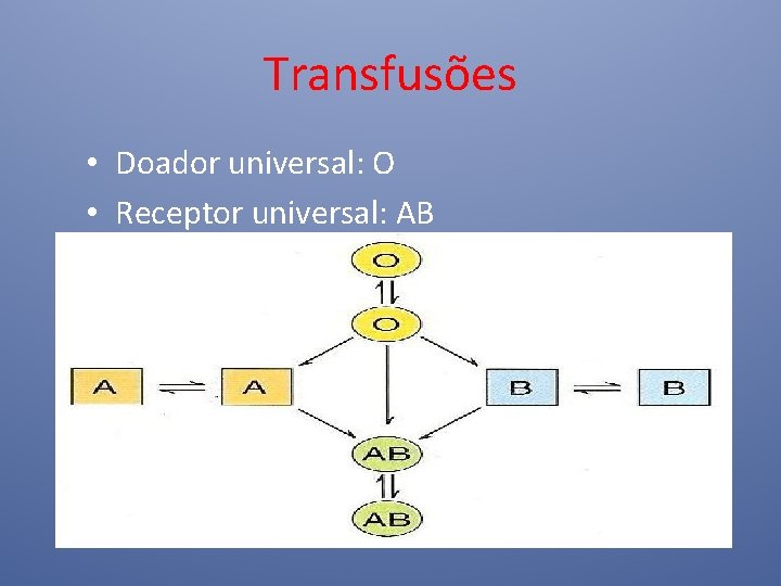 Transfusões • Doador universal: O • Receptor universal: AB 