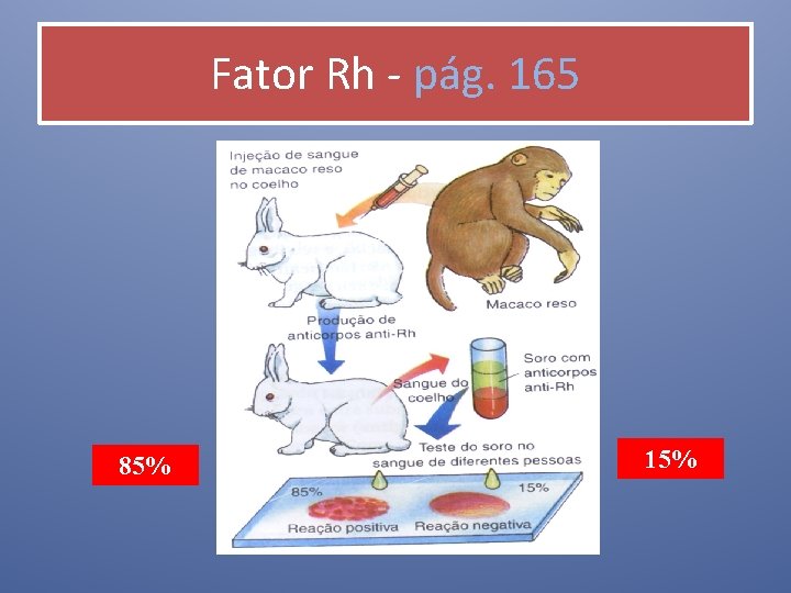 Fator Rh - pág. 165 85% 15% 