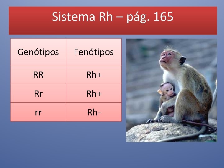 Sistema Rh – pág. 165 Genótipos Fenótipos RR Rh+ Rr Rh+ rr Rh- 