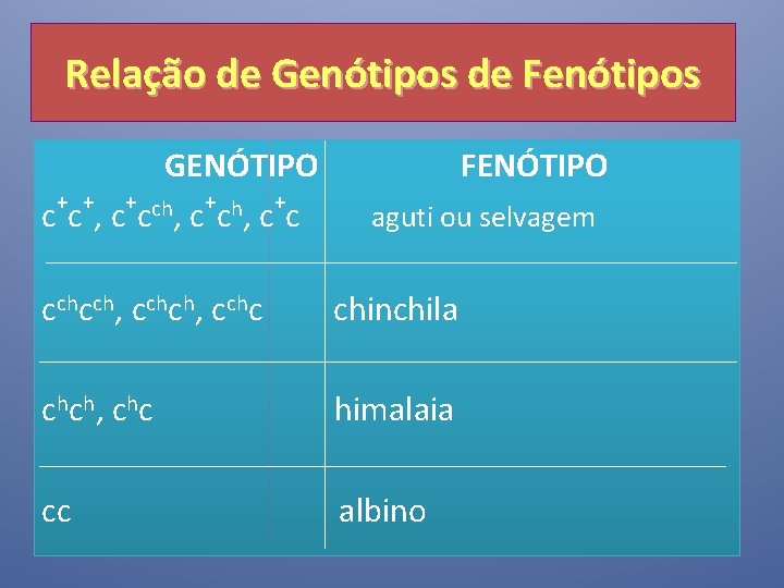 Relação de Genótipos de Fenótipos GENÓTIPO + + + ch + c c ,