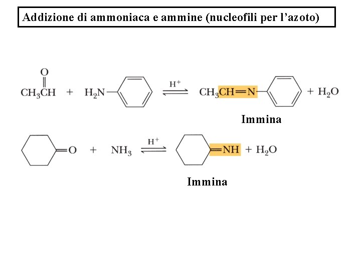 Addizione di ammoniaca e ammine (nucleofili per l’azoto) Immina 