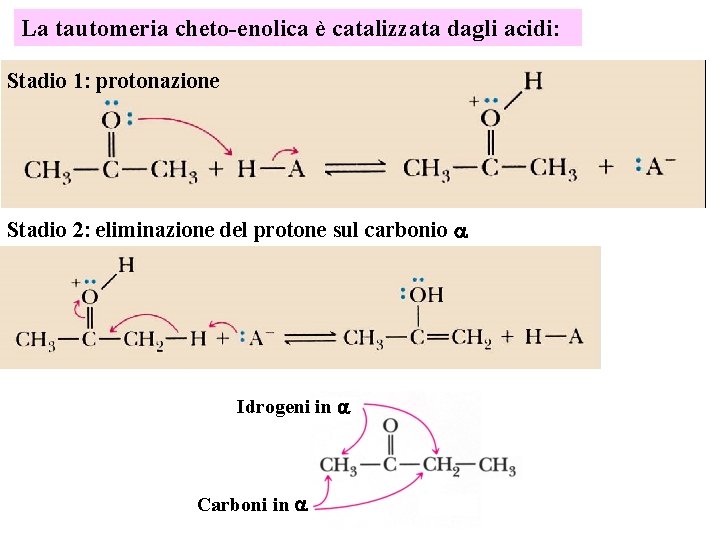 La tautomeria cheto-enolica è catalizzata dagli acidi: Stadio 1: protonazione Stadio 2: eliminazione del