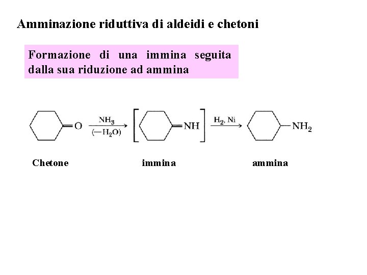 Amminazione riduttiva di aldeidi e chetoni Formazione di una immina seguita dalla sua riduzione