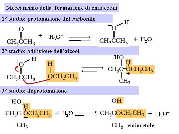 Meccanismo della formazione di emiacetali 1° stadio: protonazione del carbonile H + + H