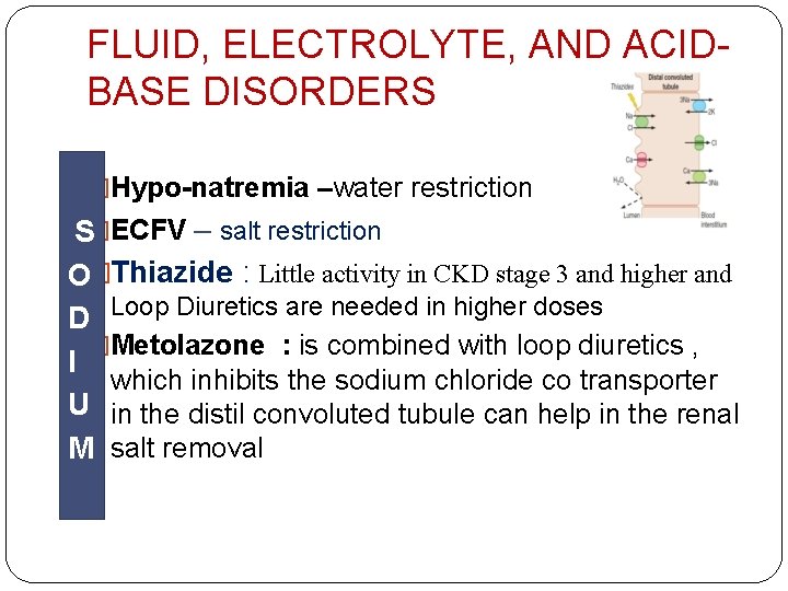 FLUID, ELECTROLYTE, AND ACIDBASE DISORDERS �Hypo-natremia –water restriction S�ECFV – salt restriction O�Thiazide :