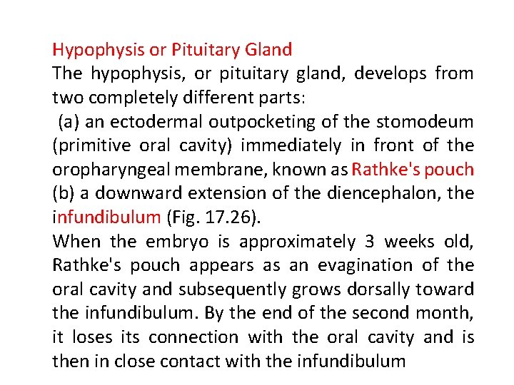 Hypophysis or Pituitary Gland The hypophysis, or pituitary gland, develops from two completely different