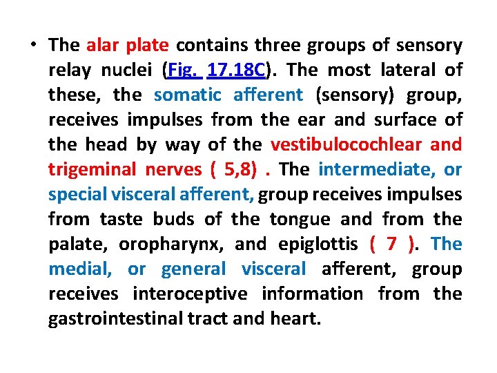  • The alar plate contains three groups of sensory relay nuclei (Fig. 17.