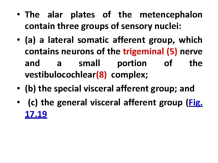  • The alar plates of the metencephalon contain three groups of sensory nuclei: