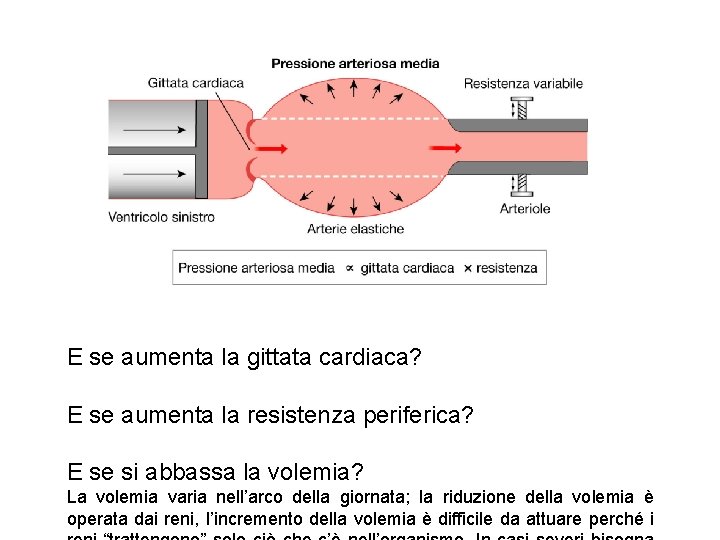E se aumenta la gittata cardiaca? E se aumenta la resistenza periferica? E se E se aumenta la gittata cardiaca? E se aumenta la resistenza periferica? E se