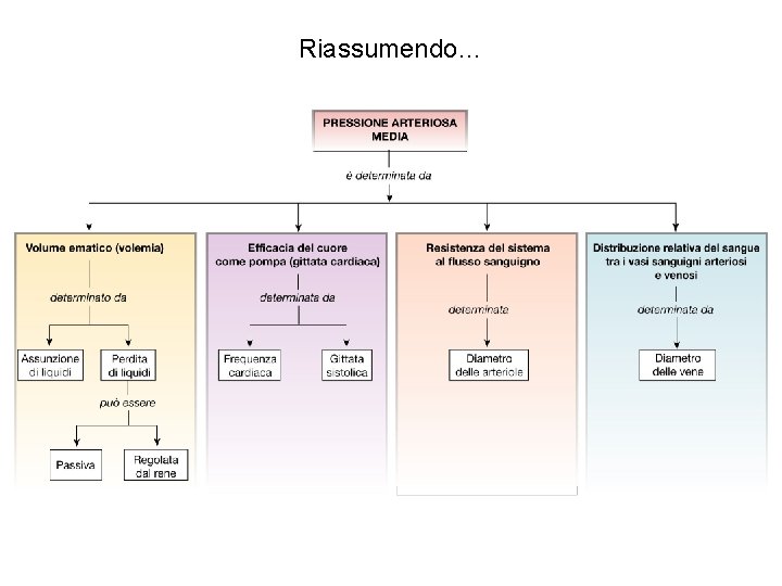 Riassumendo… Riassumendo…