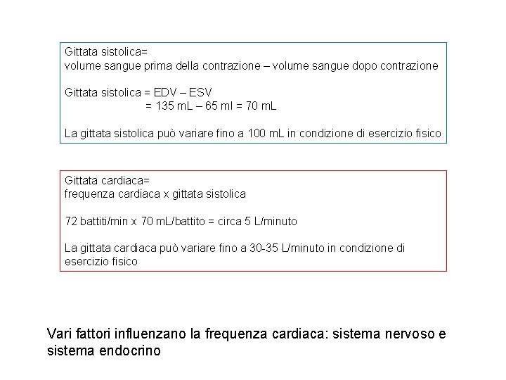Gittata sistolica= volume sangue prima della contrazione – volume sangue dopo contrazione Gittata sistolica Gittata sistolica= volume sangue prima della contrazione – volume sangue dopo contrazione Gittata sistolica