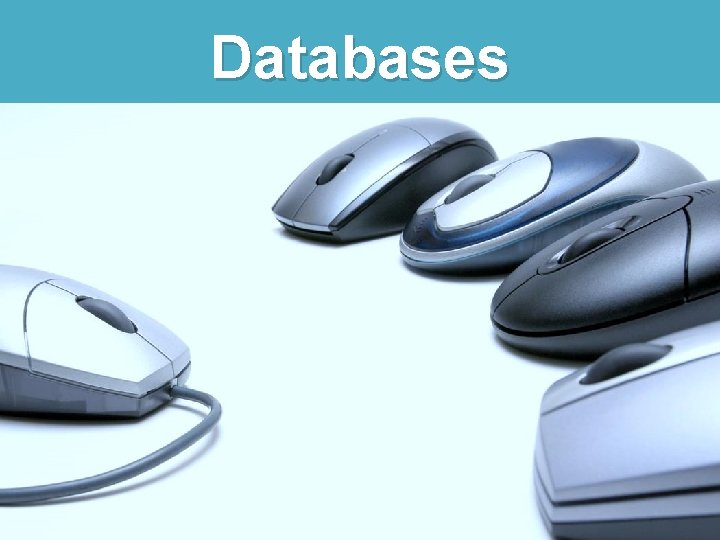 Databases 