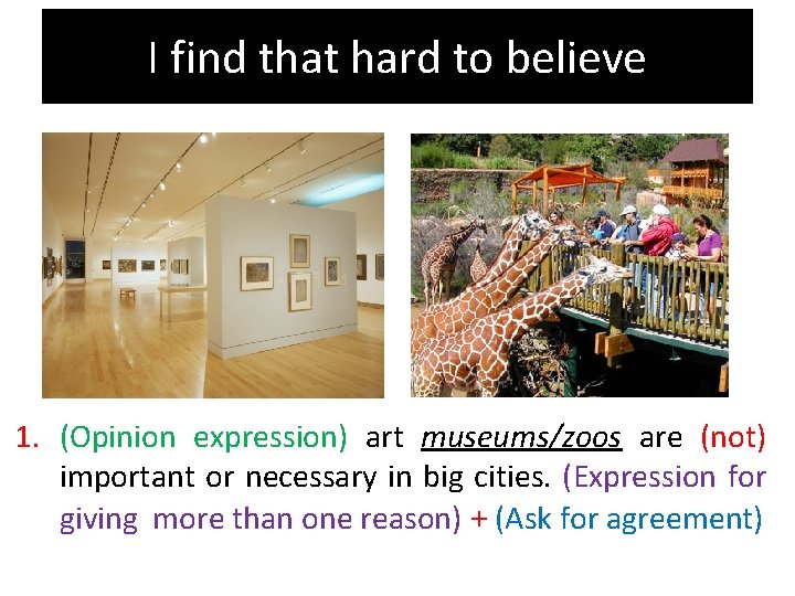 I find that hard to believe 1. (Opinion expression) art museums/zoos are (not) important