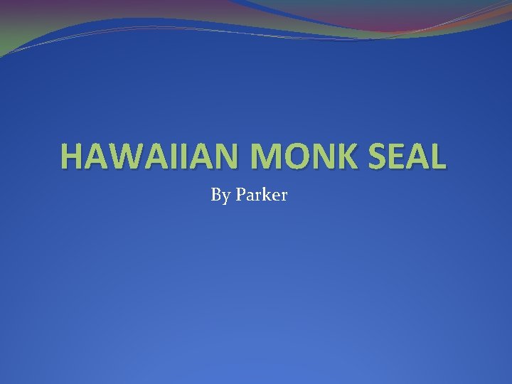 HAWAIIAN MONK SEAL By Parker 