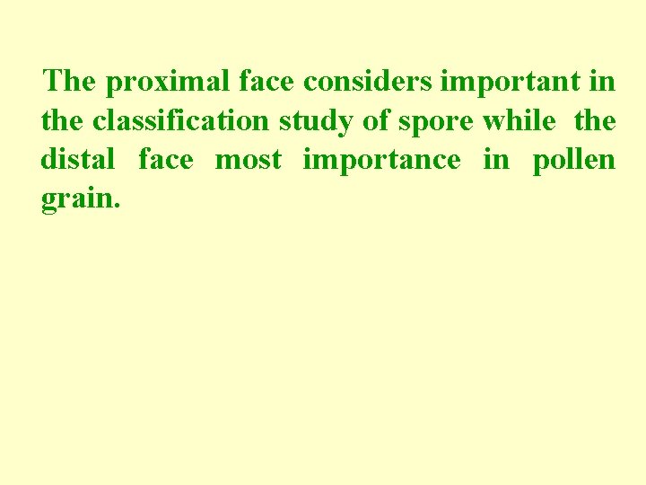 The proximal face considers important in the classification study of spore while the distal