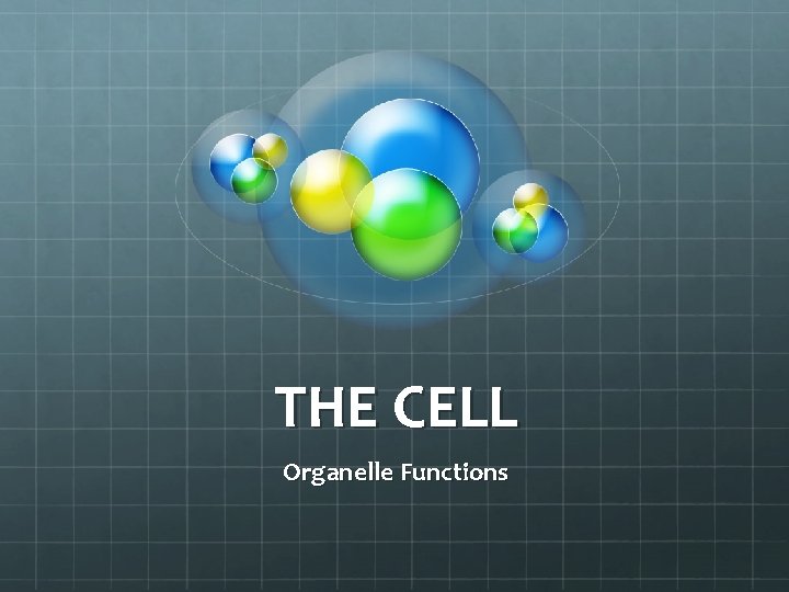 THE CELL Organelle Functions 