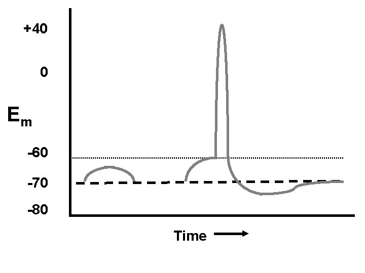 +40 0 Em -60 -70 -80 Time 